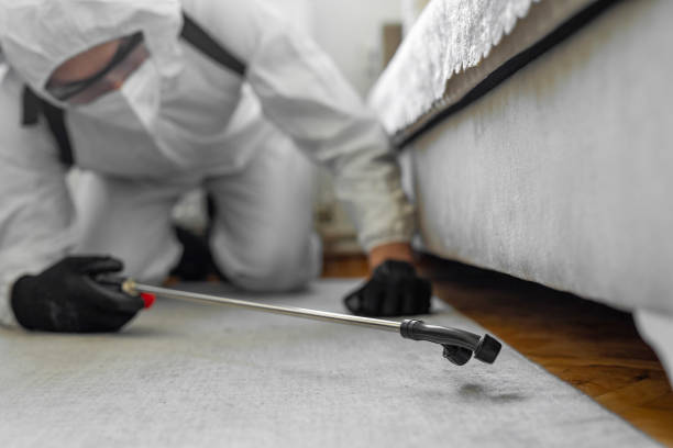 Professional Termite Control technician working in East Williston, NY