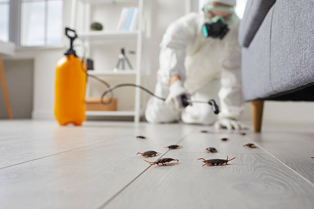 Trusted Cockroach Control service in East Williston, NY - Nex Pest Control